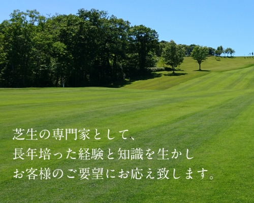 メインイメージ